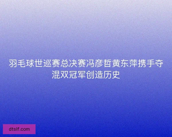 羽毛球世巡赛总决赛冯彦哲黄东萍携手夺混双冠军创造历史 羽毛球世巡赛总决赛冯彦哲黄东萍携手夺混双冠军创造历史