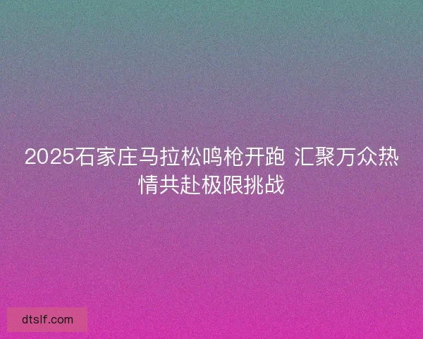 2025石家庄马拉松鸣枪开跑 汇聚万众热情共赴极限挑战 2025石家庄马拉松鸣枪开跑 汇聚万众热情共赴极限挑战