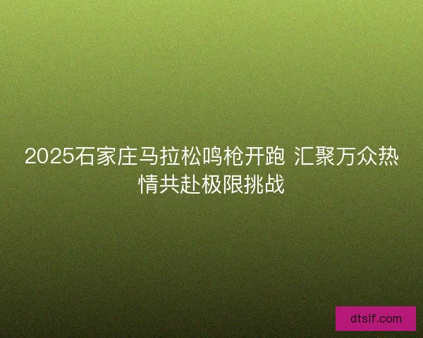 2025石家庄马拉松鸣枪开跑 汇聚万众热情共赴极限挑战 2025石家庄马拉松鸣枪开跑 汇聚万众热情共赴极限挑战